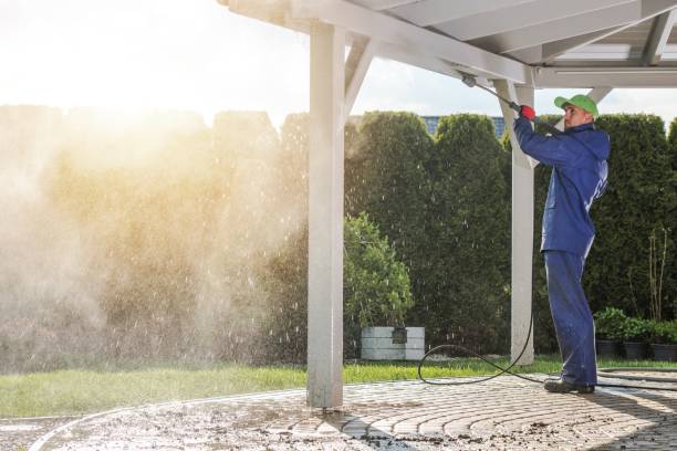 Best Soft Washing  in Fitzgerald, GA
